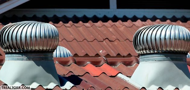Chimneys, Flues, and Fireplaces