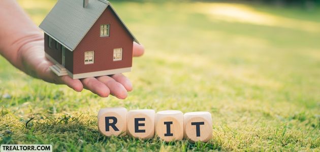 Real Estate Investment Trusts (REITs): Unraveling the Dynamics of Real Estate Investment
