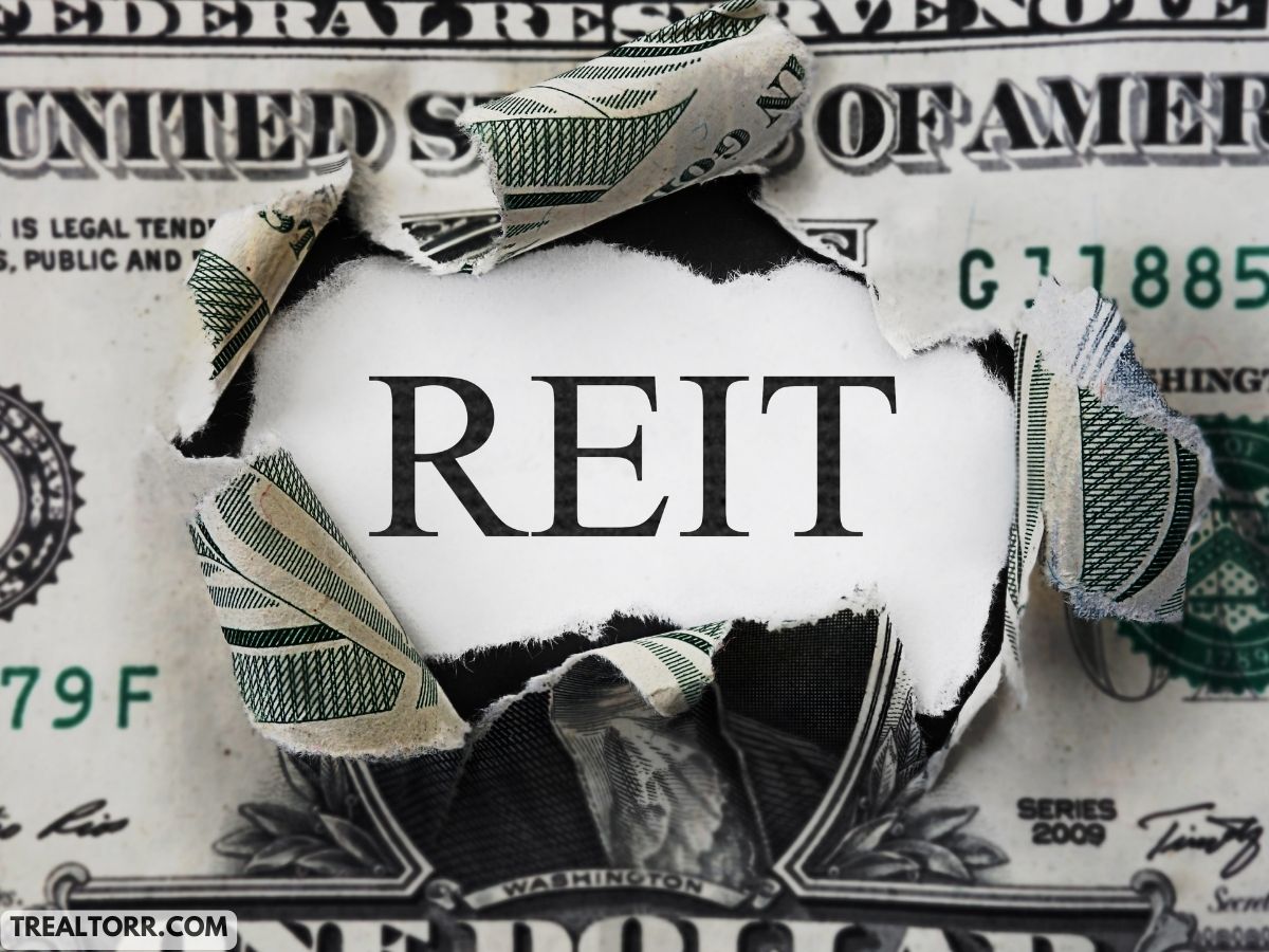 Essential Insurance Guide for Real Estate Investment Trusts (REITs)