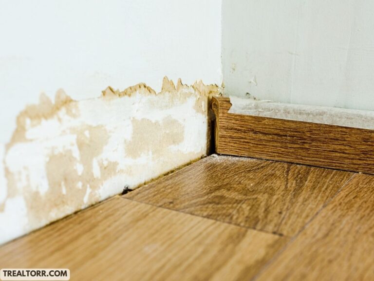 How to Dry Out Water Damaged Walls Quickly: Fast and Effective Methods
