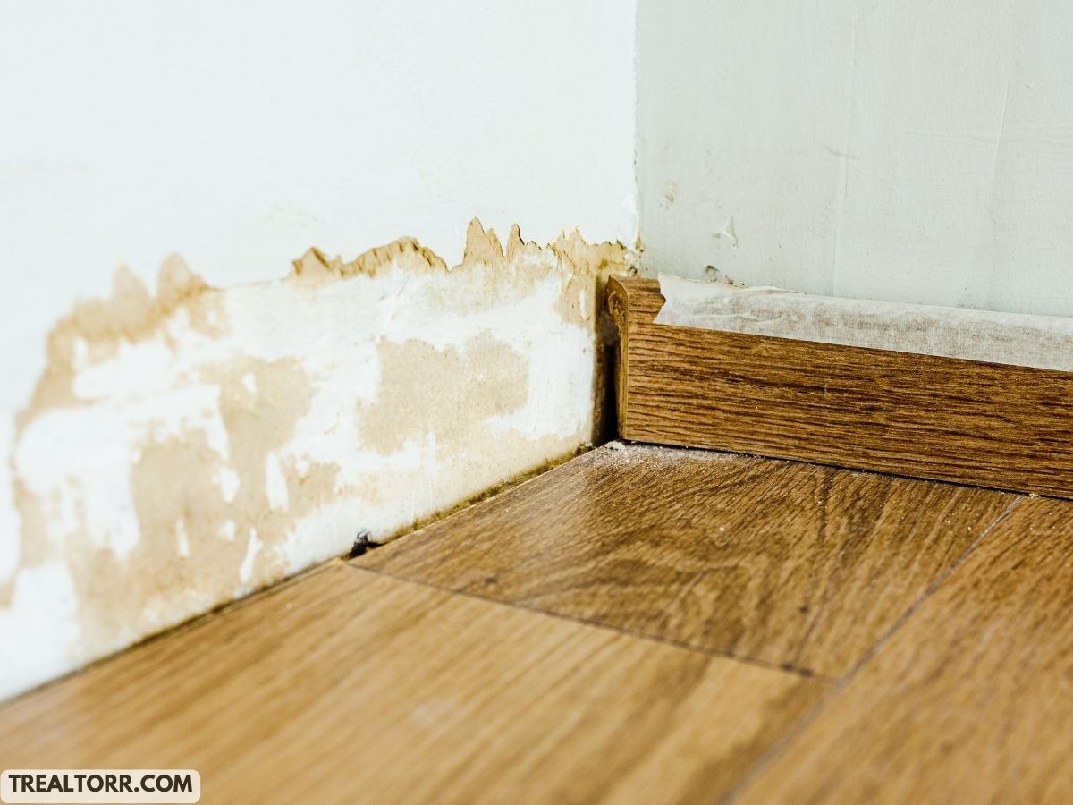 How to Dry Out Water Damaged Walls Quickly: Fast and Effective Methods
