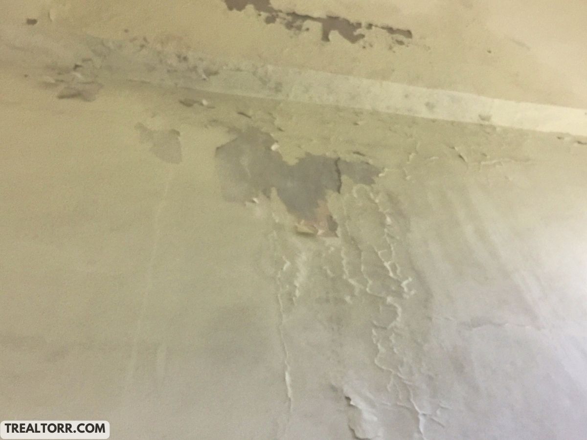 How to Prevent Water Damage on Your Walls