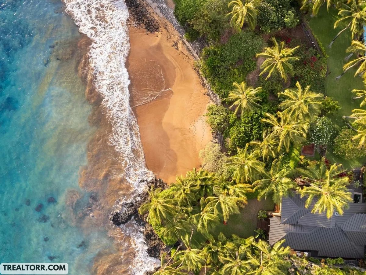 Luxury House in Hawaii: Explore This $33 Million Mansion! beach view next to the house