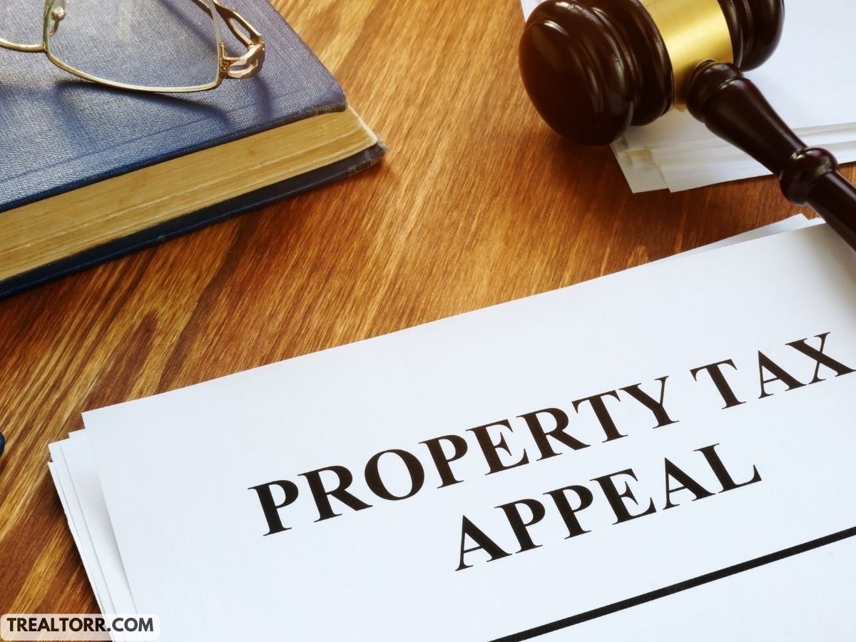 Master Your Money: Expert Tips for Winning Property Tax Appeals!