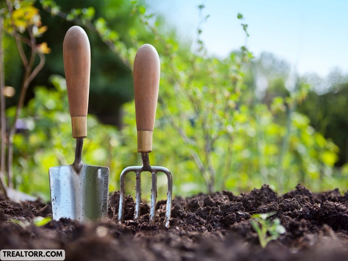 Organic vs. Conventional Gardening: Pros and Cons of Each Method