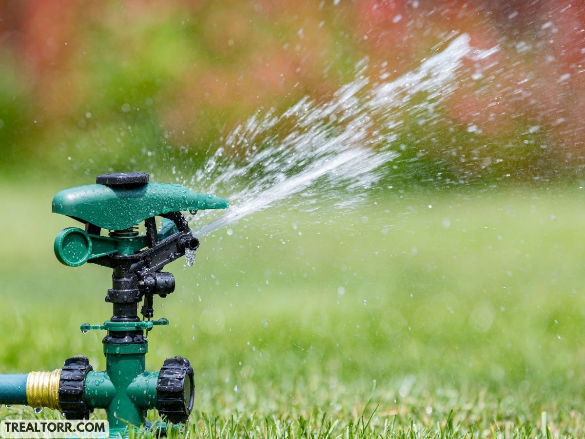 Water Conservation Techniques for Gardens: Easy Ways to Cut Down on Water Usage