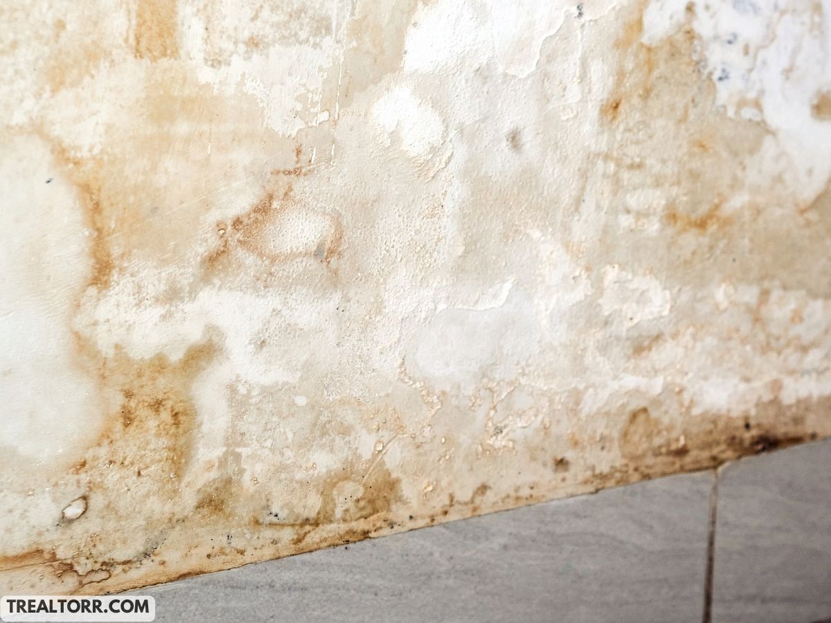 Water Damage Restoration: A Comprehensive Guide
