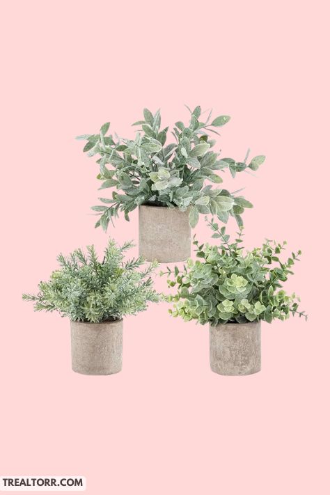 6. Decorative Potted Plants