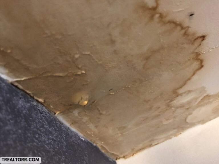 Impact of Water Damage on Wall Insulation: What You Need to Know