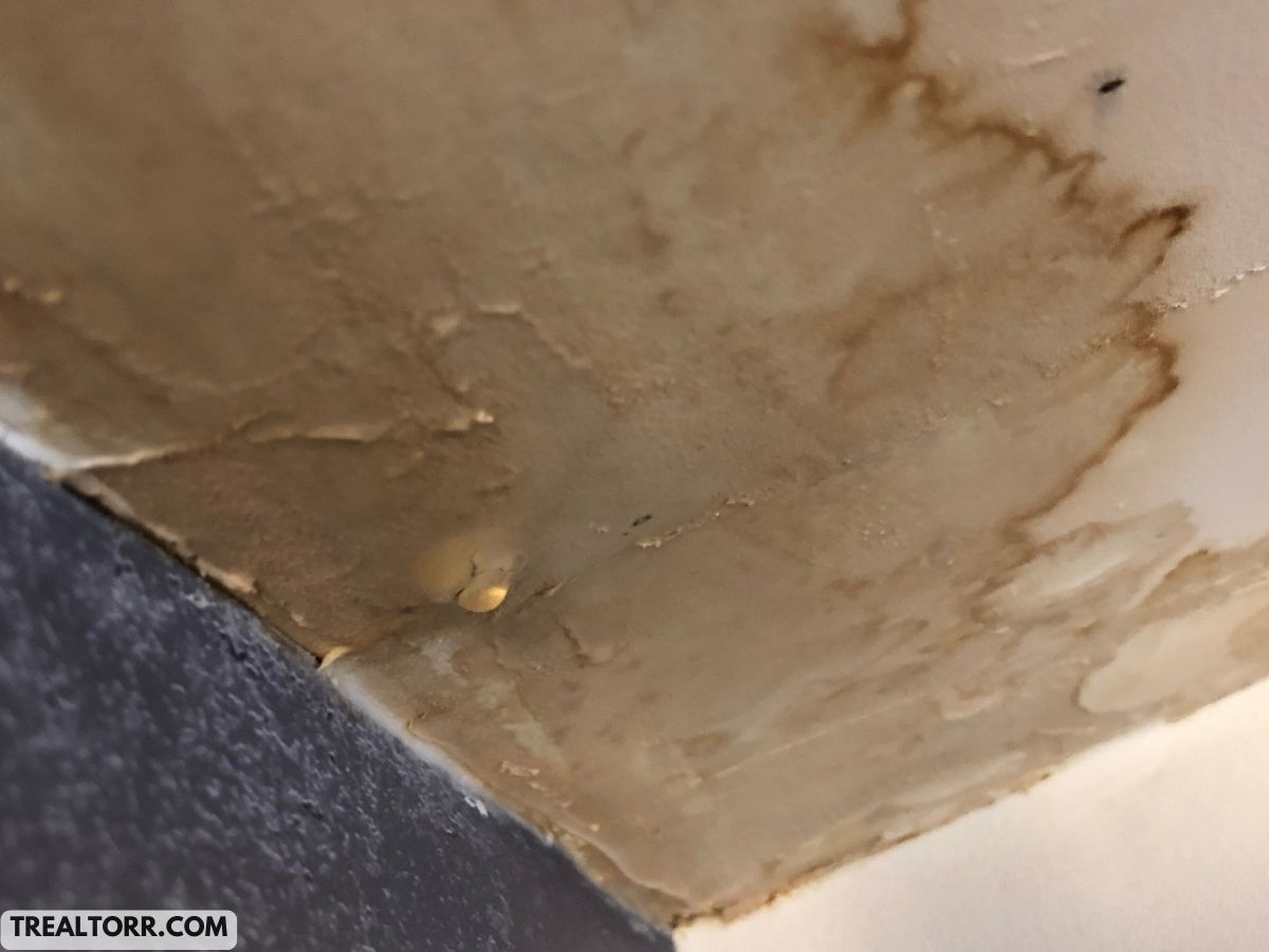 Impact of Water Damage on Wall Insulation: What You Need to Know
