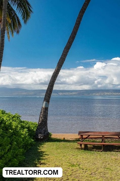 Outdoor Backyard Garden: 7 Reasons Why This $800K Luxury House in Hawaii Will Make You Relax Instantly!