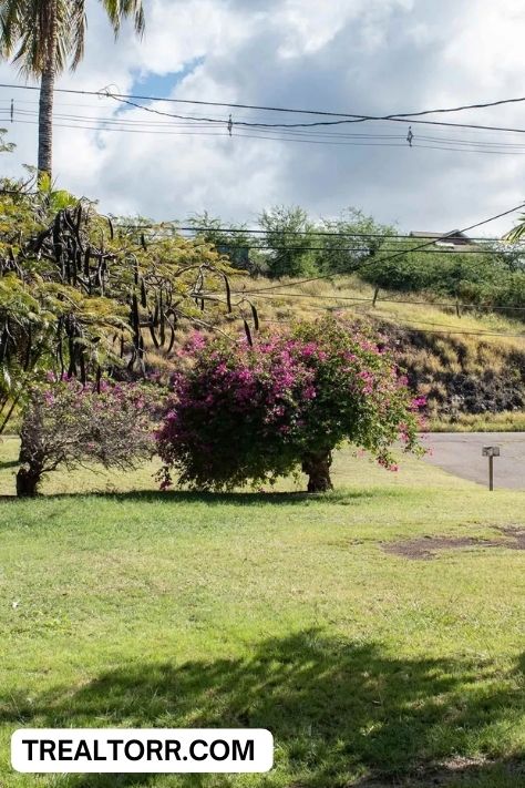 7 Reasons Why This $800K Luxury House in Hawaii Will Make You Relax Instantly!