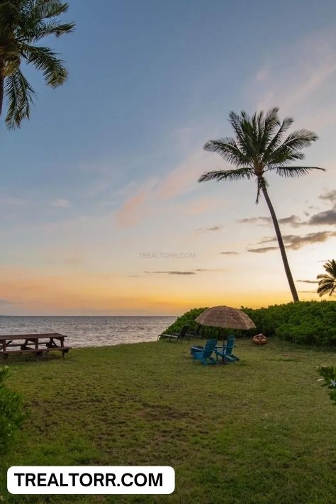 Outdoor Backyard Garden: Luxury House in Hawaii