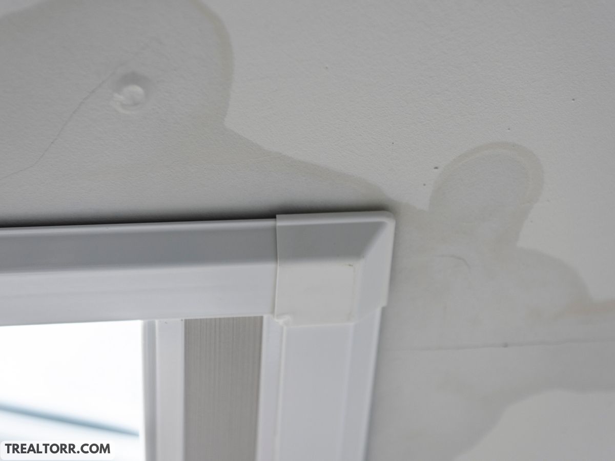 Signs of Hidden Water Damage Inside Walls: What to Look For