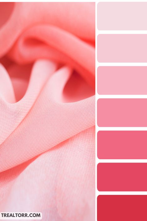 Color Palette Generators