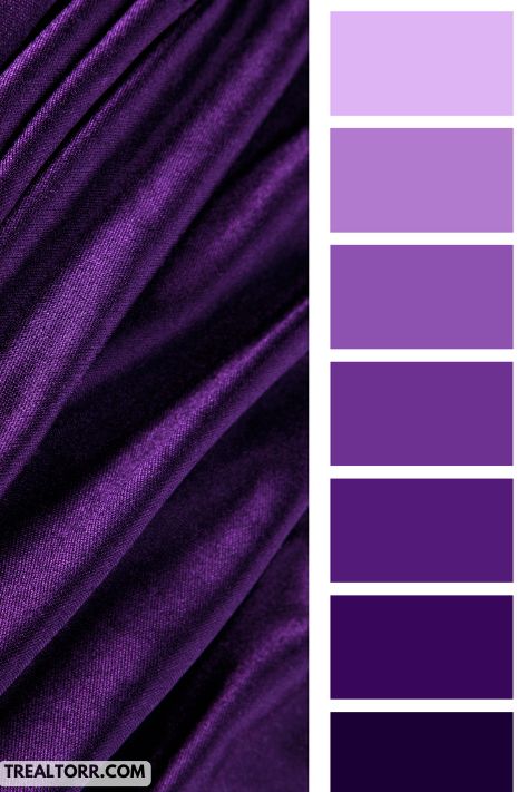 Color Palette Generators