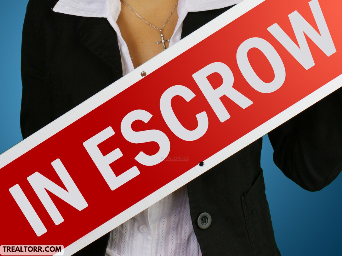 When is escrow analysis done