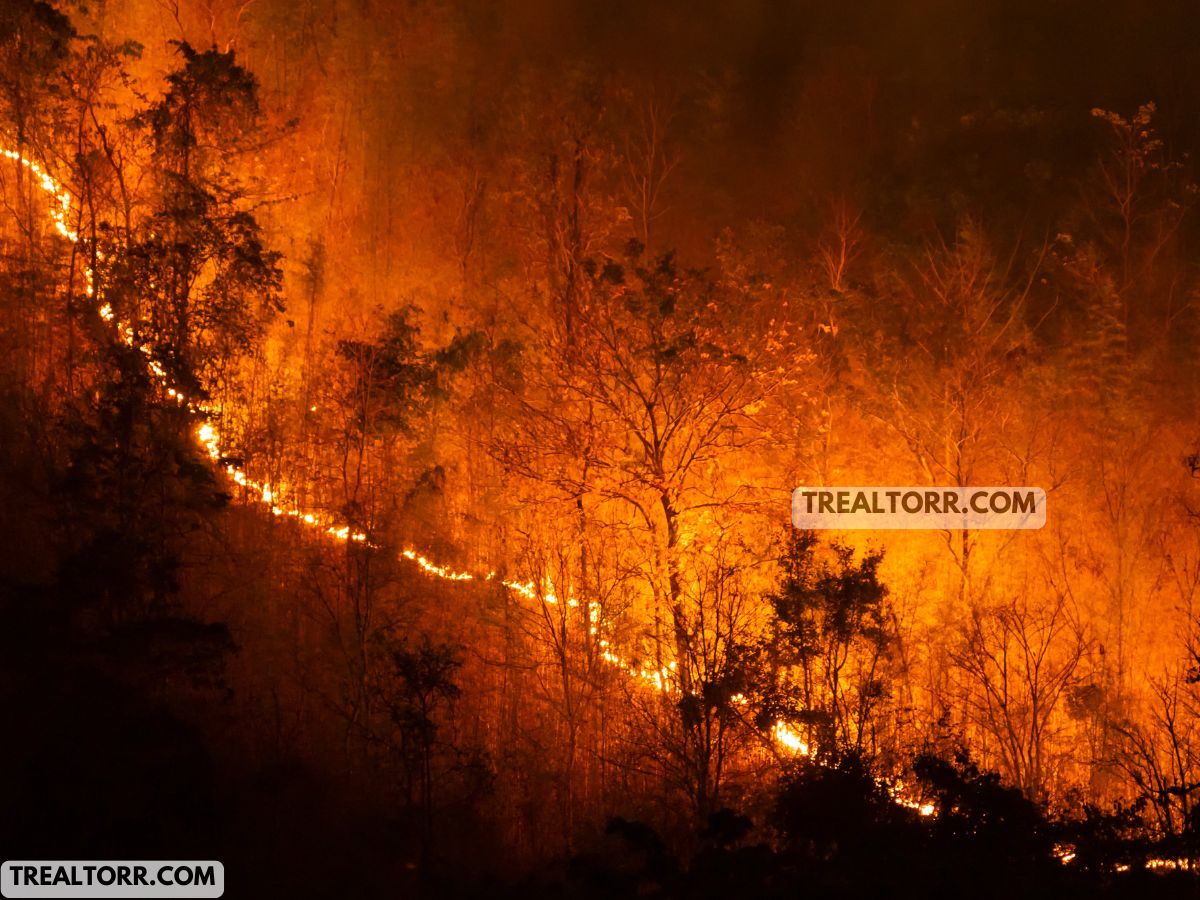 Franklin Fire Threatens Malibu’s Million-Dollar Mansions: Celebrities and Luxury Homes Evacuated as Wildfire Spreads