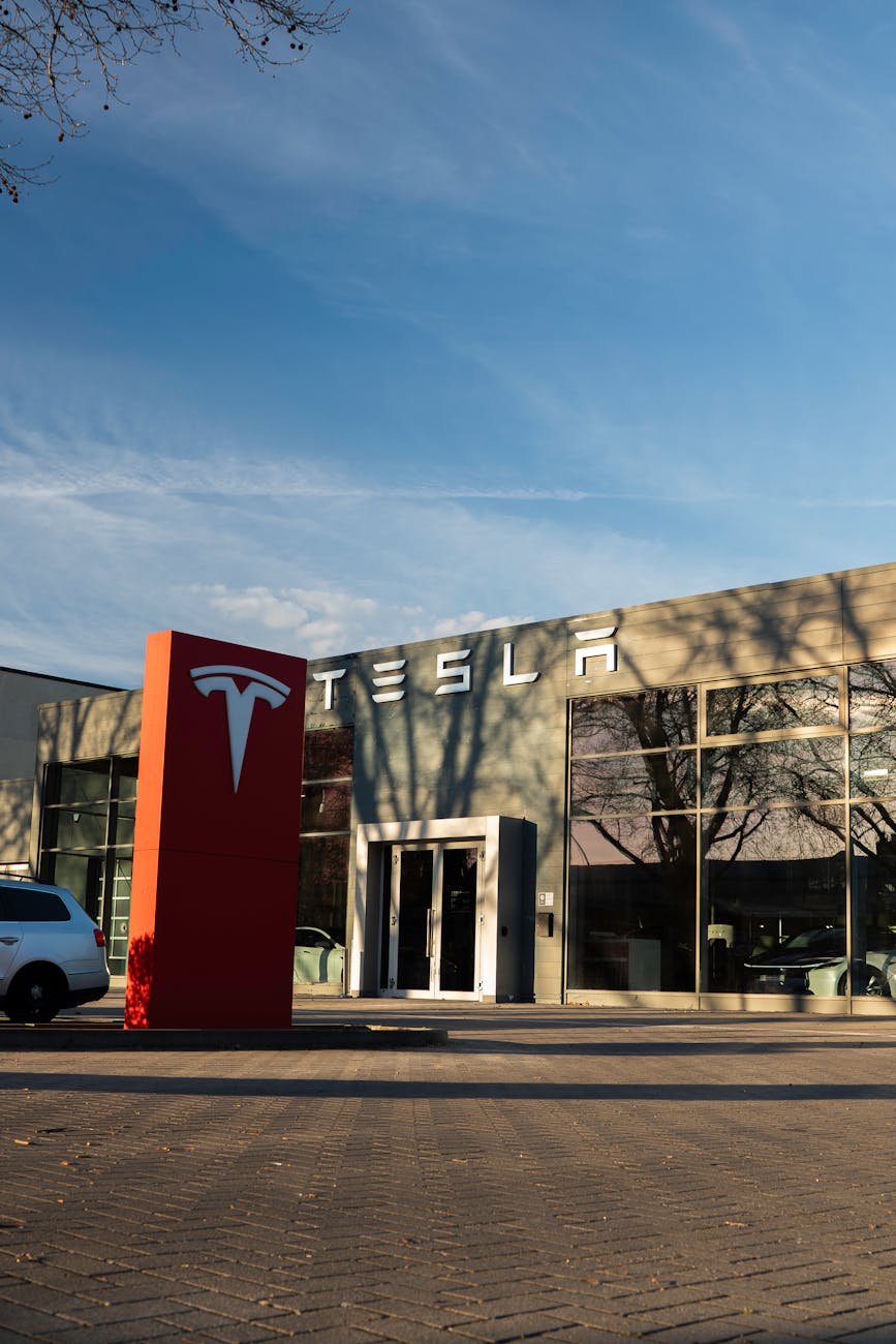 Is Elon Musk Moving to Florida? The Rumor That Has Everyone Talking