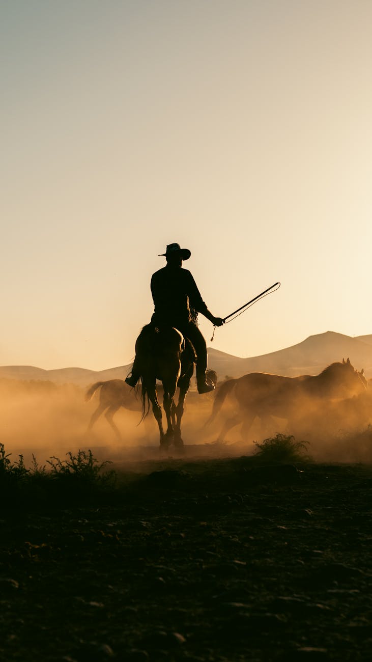 a man on horseback with a lasso in the desert