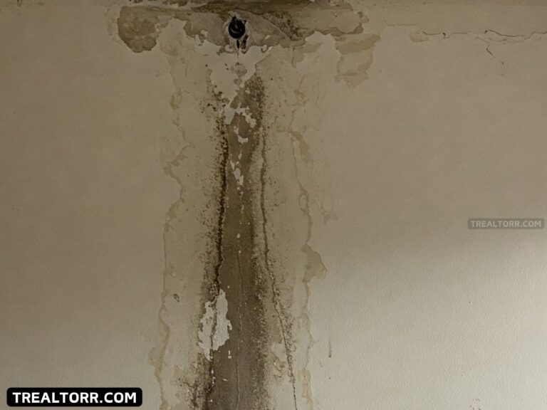 How to get insurance to pay for water damage
